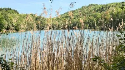 Hellkopfsee Schilfansicht Bild vom Hellkopfsee Schilfansicht